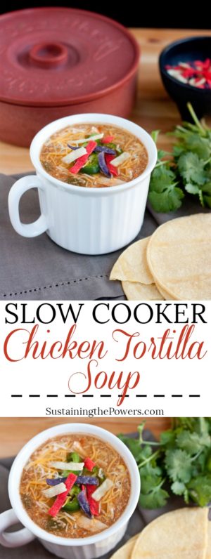 Slow Cooker Chicken Tortilla Soup //Crocktober 2014 Week #4 ...