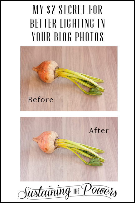 Food Photography Friday: My $2 Secret for Better Lighting in Your Blog ...